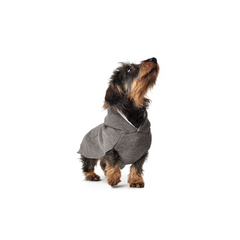Hunter - Pullover For Dog Rogla - zoofast-shop