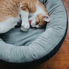 Hunter – Sumba Cat and Dog Bed
