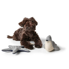 Hunter – Skagen Dog Toy