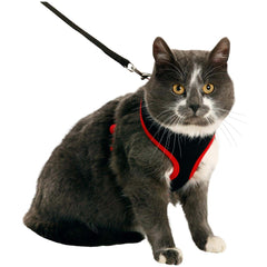 Flamingo – Cat Harness Set