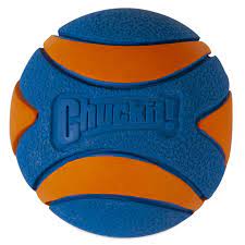 Chuckit – Ultra Squeaker Ball