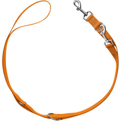 Hunter - Training Leash London