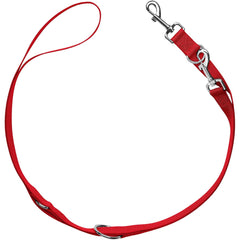 Hunter - Training Leash London