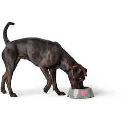 Hunter – Melamine Dog Bowl Biri