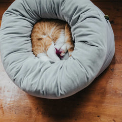 Hunter – Miranda Dog & Cat Bed