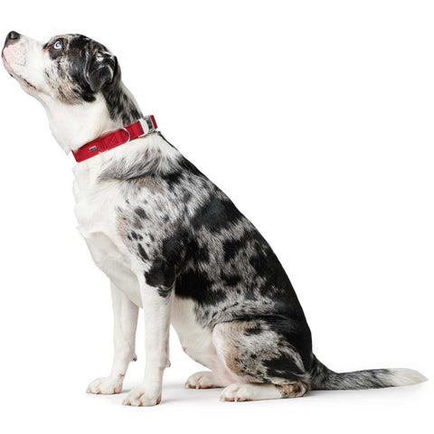 Hunter – Softie Alu-Strong Dog Collar