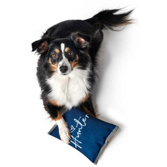 Hunter – Dog Toy Corby