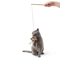 Hunter - Cat Toy Limana