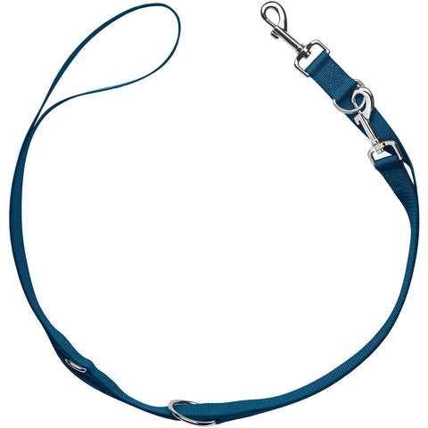 Hunter - Training Leash London