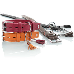 Hunter – Collar Leather Cannes