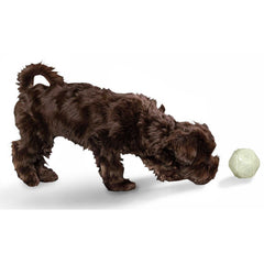 Hunter – Dog Toy Kisa