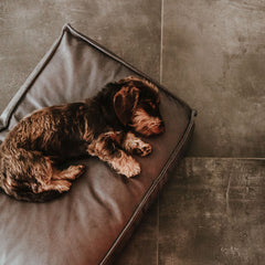 Hunter - Orthopaedic Dog Cushion Merida
