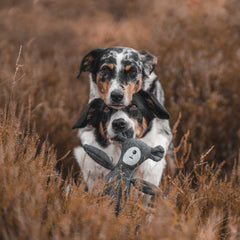Hunter – Dog Toy Tirana