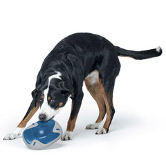 Hunter – Dog Toy Sansibar Morsum Frisbee