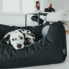 Hunter – Antibacterial Dog Sofa Gent