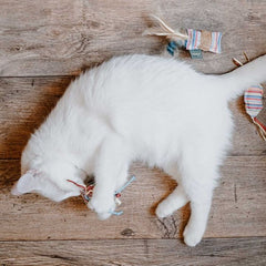 Hunter - Cat Toy Limana
