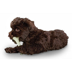 Hunter – Dog Toy Kisa
