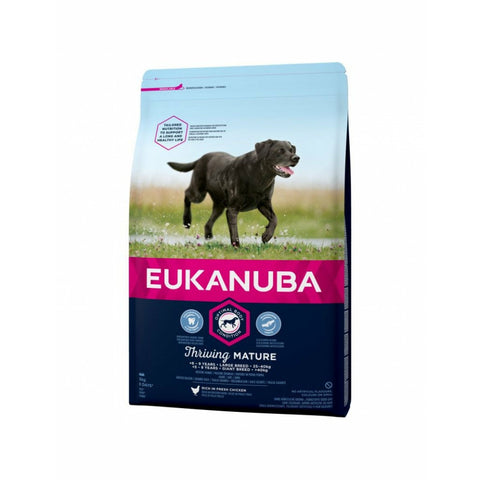Eukanuba – Mature Large Breed 12Kg