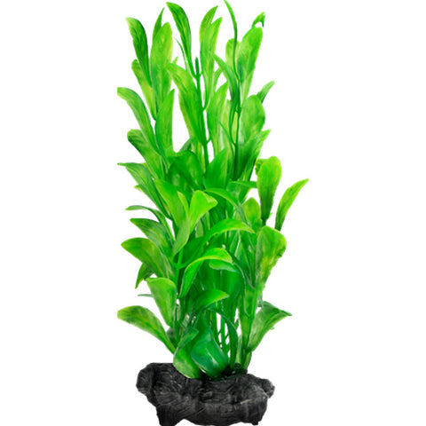 Tetra – DecorArt Plant Weighted Hygrophila